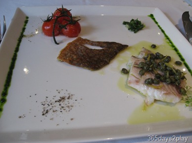 Oso Ristorante Grilled Seabass with vine-ripened tomatoes Oso Ristorante Grilled Seabass with vine-ripened tomatoes