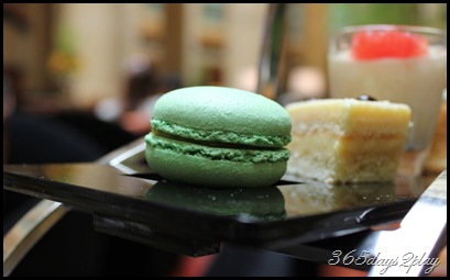 Courtyard Macaron