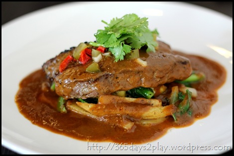 Black Earth - Sirloin Steak