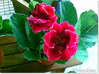 June 08 (067)