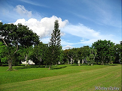 IMG_1315 - Copy