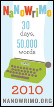 nanowrimo_05_120x240