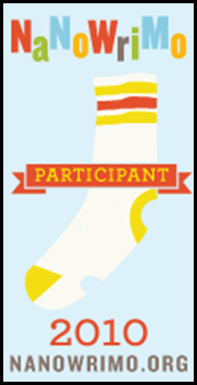 nanowrimo_participant_07_120x240