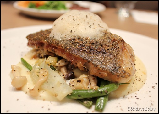 Double Bay -  Barred Cod