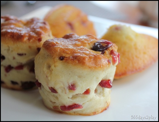 The Knolls - Scone (2) The Knolls - Scone (2)