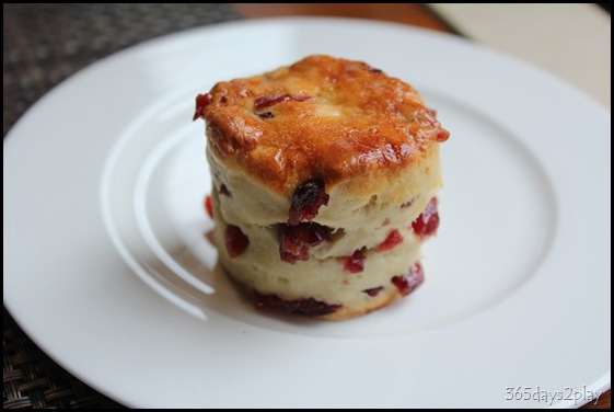 The Knolls - Scone The Knolls - Scone