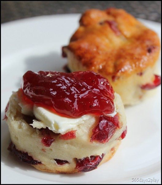 The Knolls - Scone with clotted cream and jam The Knolls - Scone with clotted cream and jam